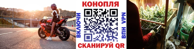 Купить где  Ногинск  Каннабис тримм